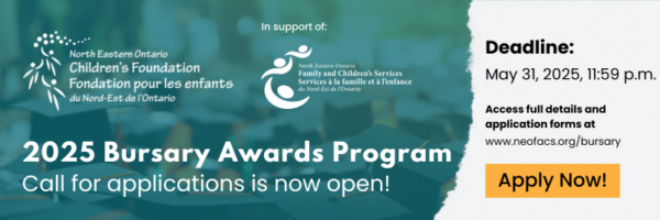 Website banner EN 2025 Bursary Awards Program Banne Image